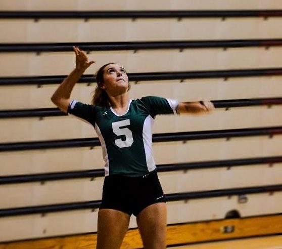 volleyball player